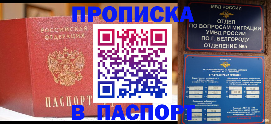 временная регистрация в квартире в Североморске